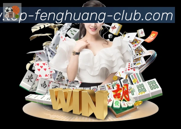 未来规划